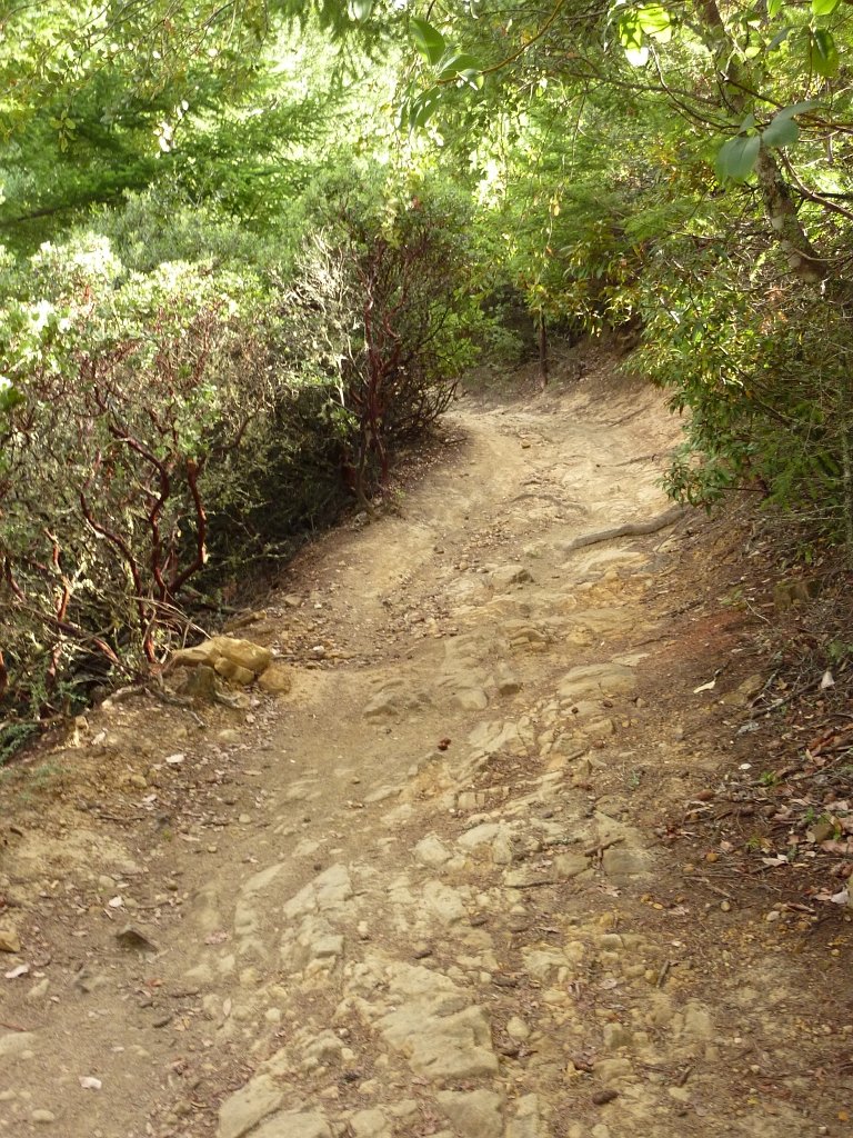 P1040301