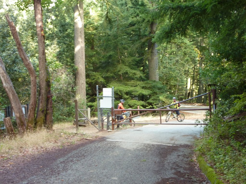 P1040316