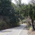 DSC01060