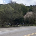 DSC01062