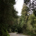 DSC01066