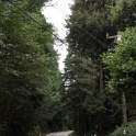 DSC01068