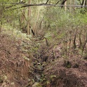 DSC01069