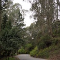 DSC01096