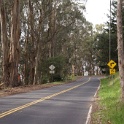 DSC01152