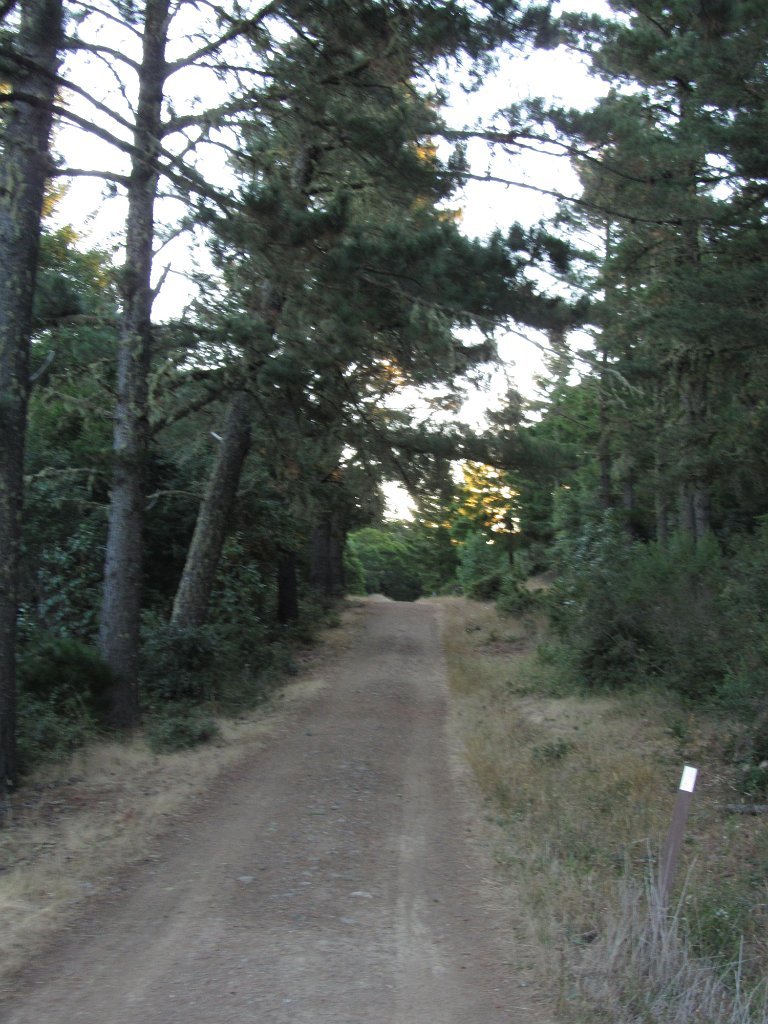 IMG_1720