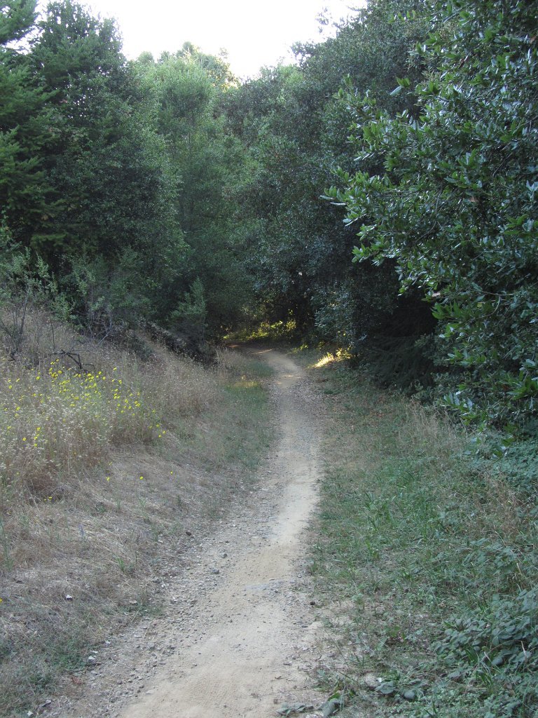 IMG_1745
