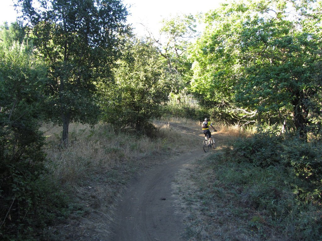 IMG_1754
