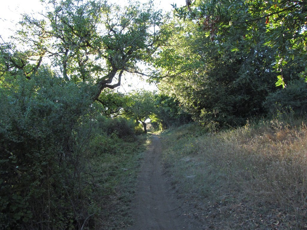 IMG_1755
