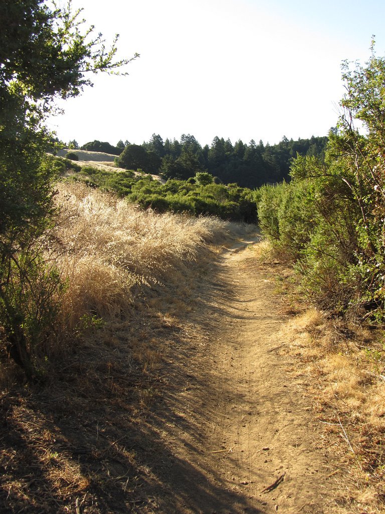 IMG_1761