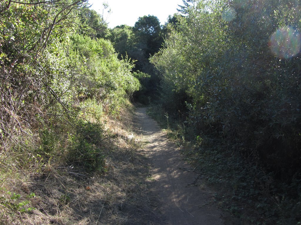 IMG_1780
