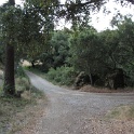 IMG_1716