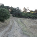 IMG_1726