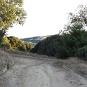 IMG_1729