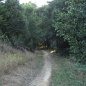 IMG_1745