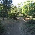 IMG_1754