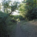 IMG_1755