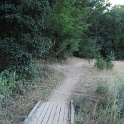 IMG_1767