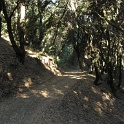 IMG_1786