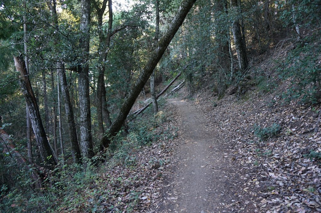 DSC03748