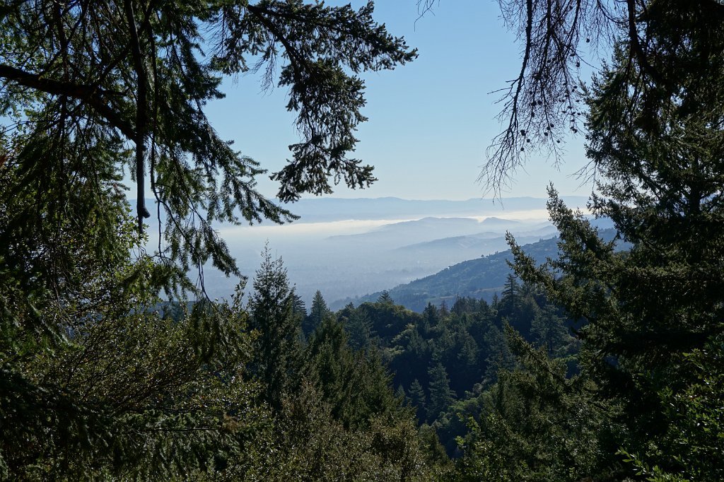 DSC03750