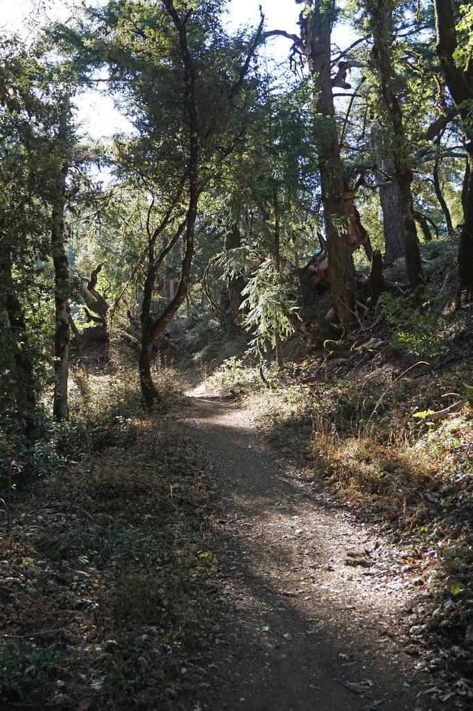 DSC03755