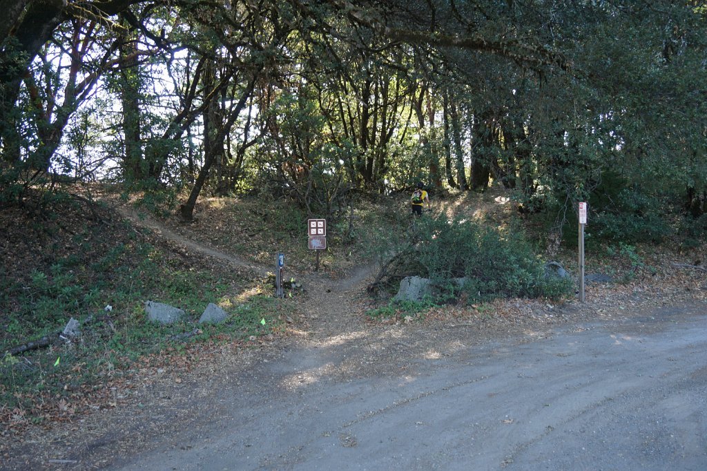DSC03761