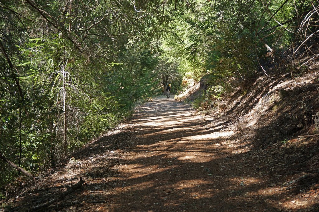 DSC03841