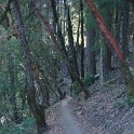 DSC03746