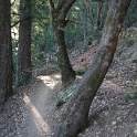 DSC03747