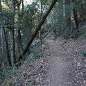 DSC03748