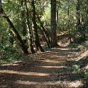 DSC03754