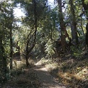 DSC03755