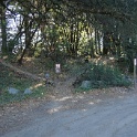 DSC03761