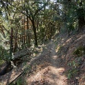 DSC03763