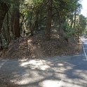 DSC03764