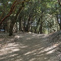 DSC03773