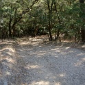 DSC03777