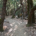 DSC03785
