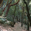 DSC03786