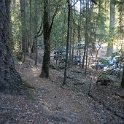 DSC03788