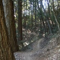 DSC03794