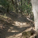 DSC03800