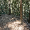 DSC03834