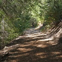 DSC03841