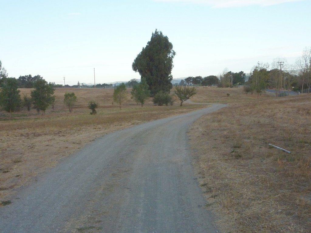 P1030384