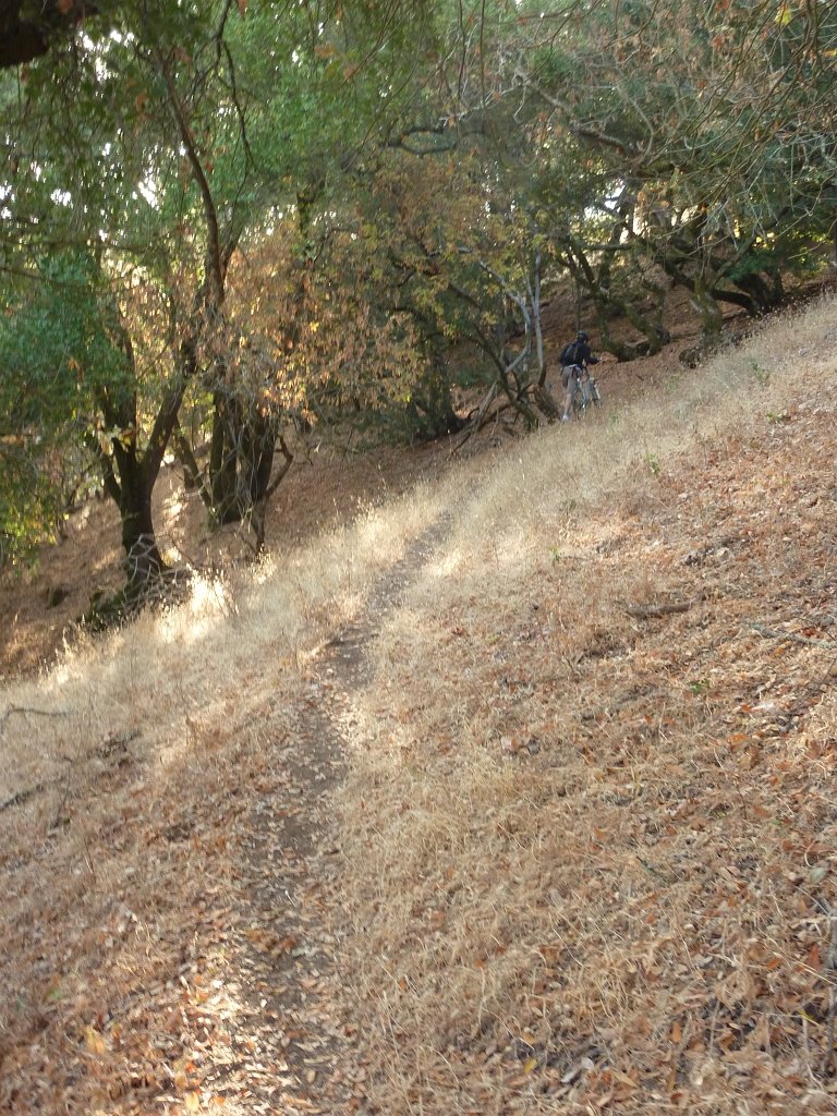 P1030393