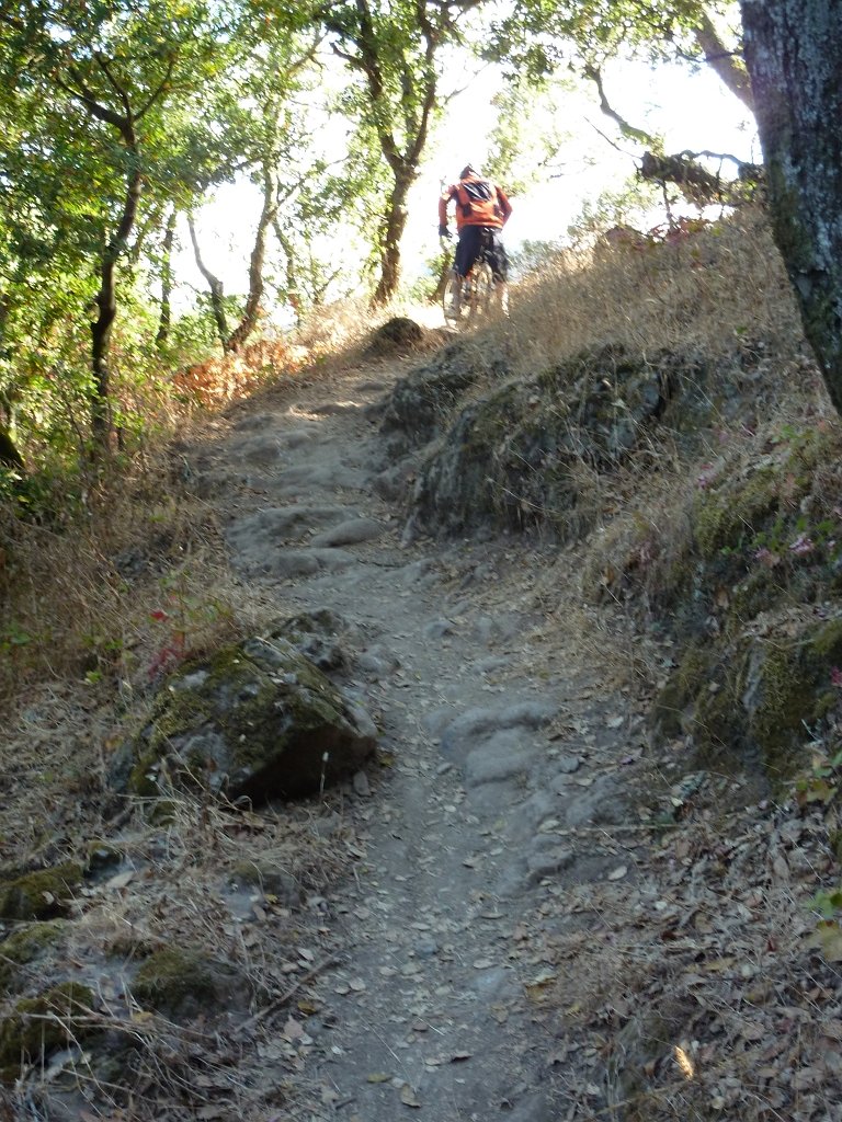 P1030417