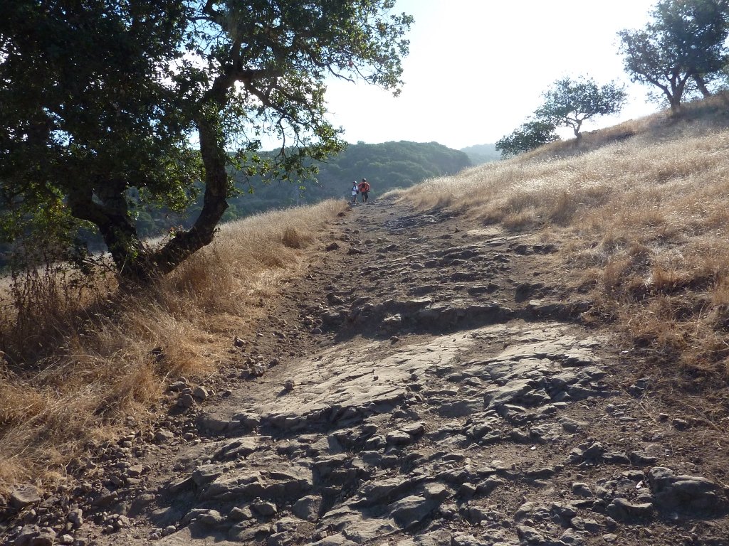 P1030418