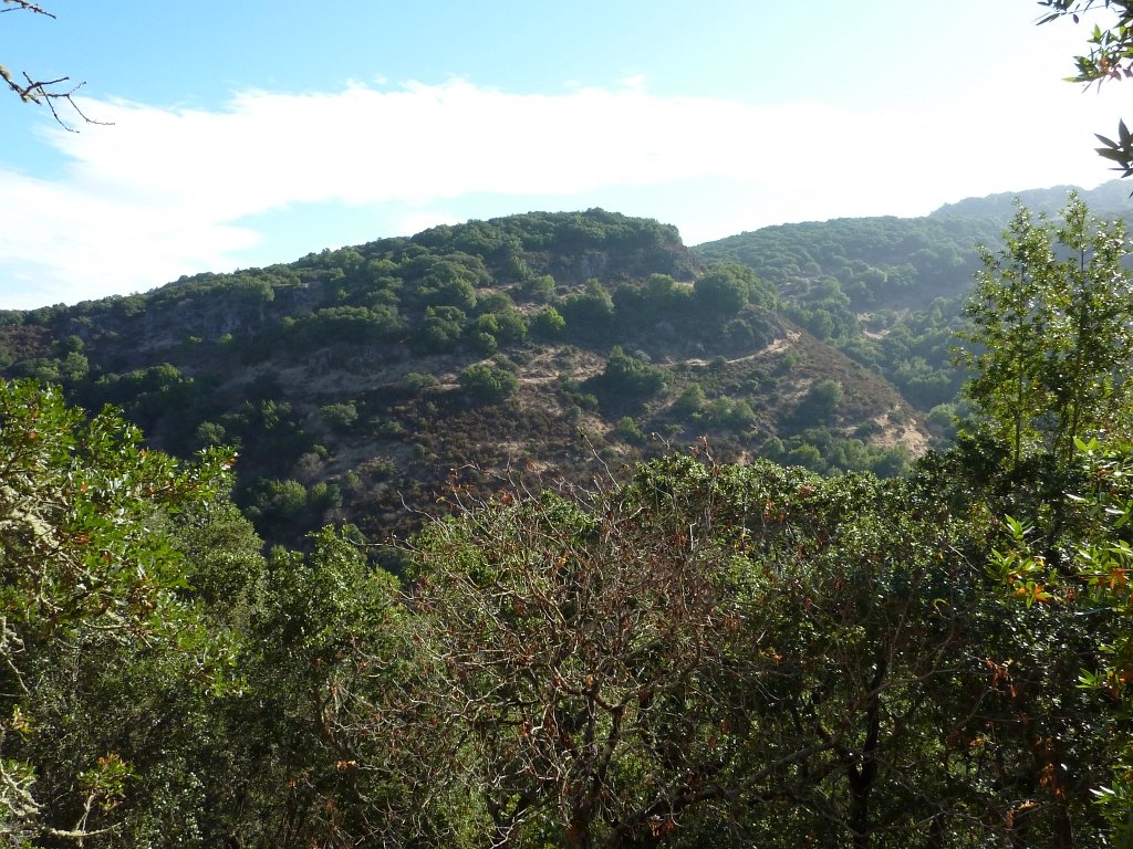 P1030422